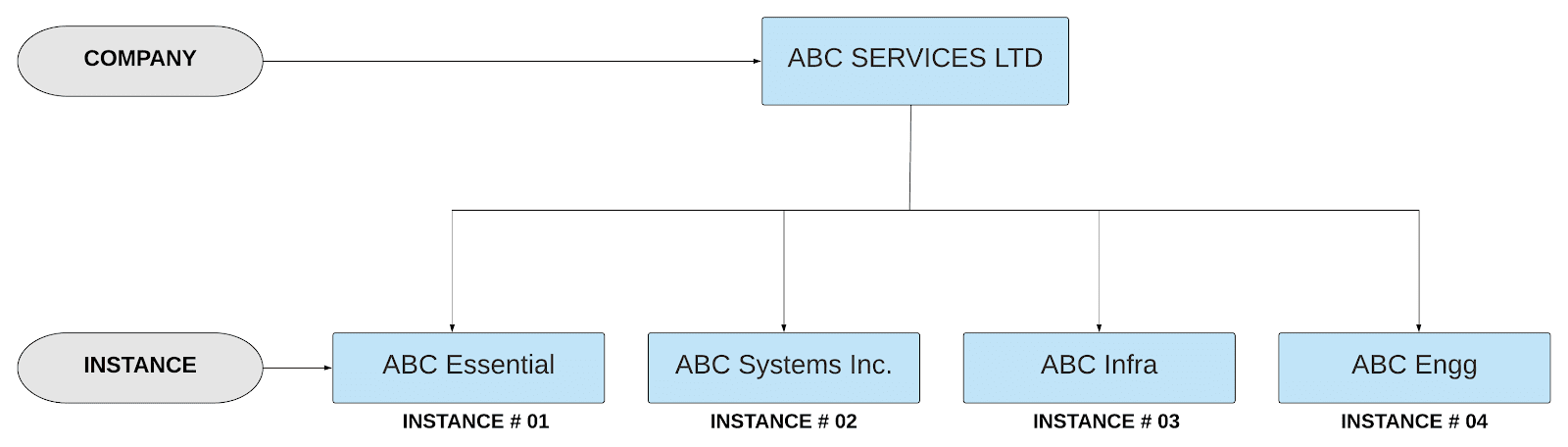 UDM Company and Instance.png