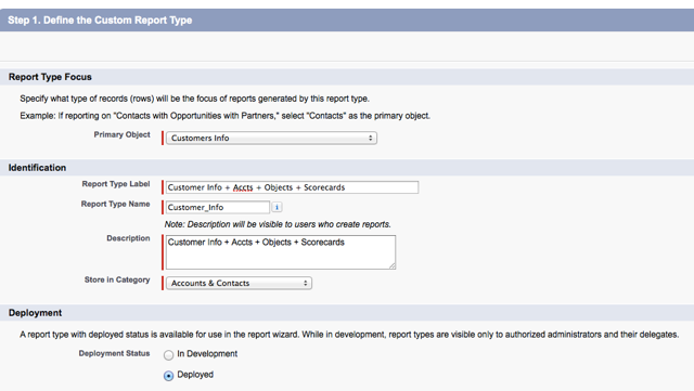 Define the Custom Report Type
