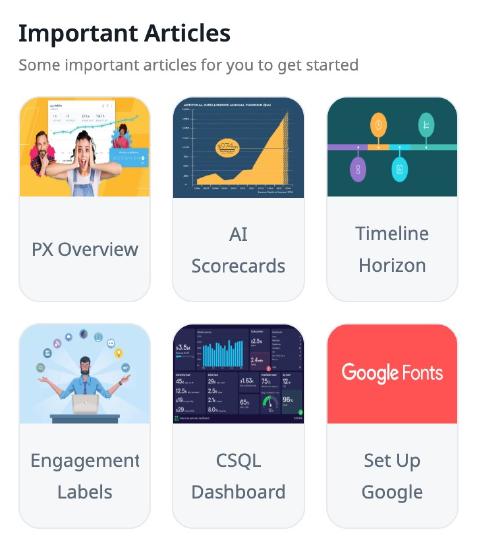 Important Articles section using tile layout, featuring image-based cards for key topics like PX Overview, AI Scorecards, and Engagement Labels.