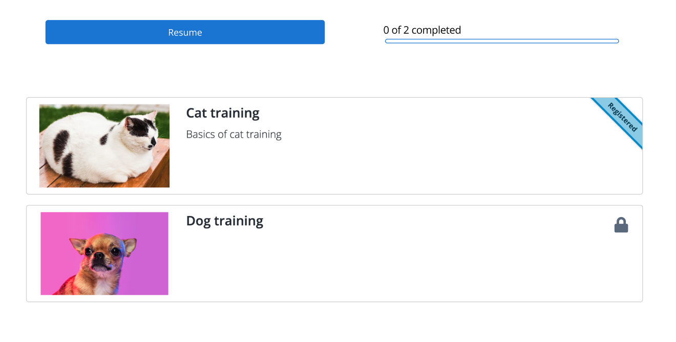 Screenshot showing Student experience