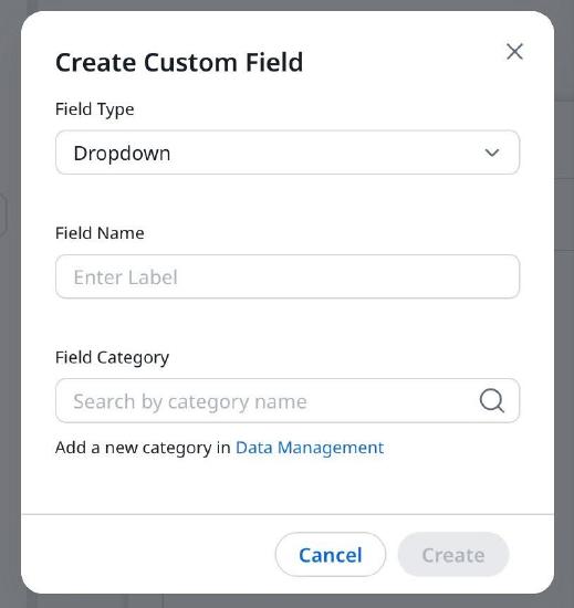 Custom field dialog box with other options.