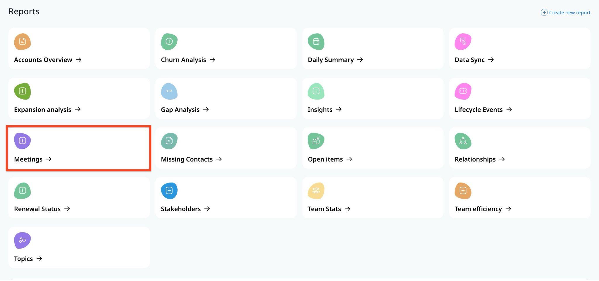 Meeting Report in Reports tab