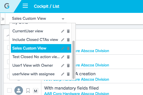 Custom View Name.png