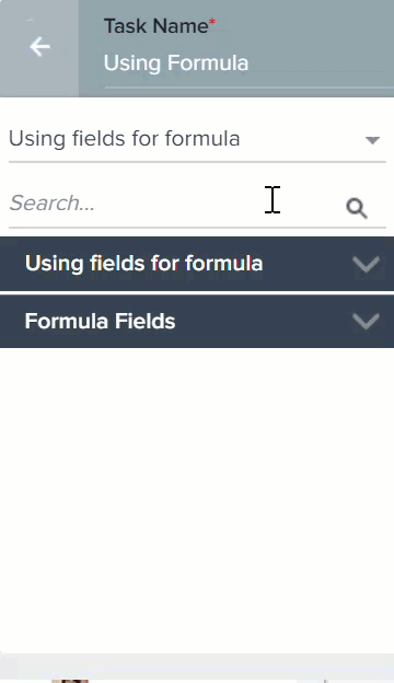 Expand Formula fields.gif